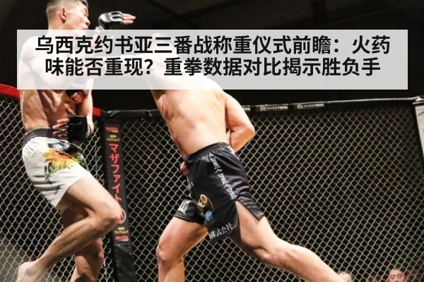乌西克约书亚三番战称重仪式前瞻：火药味能否重现？重拳数据对比揭示胜负手